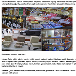 03.02.2015-Istanbul Ajansı Şubat