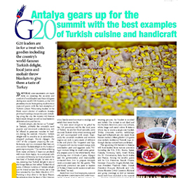 13.11.2015-Daily Sabah